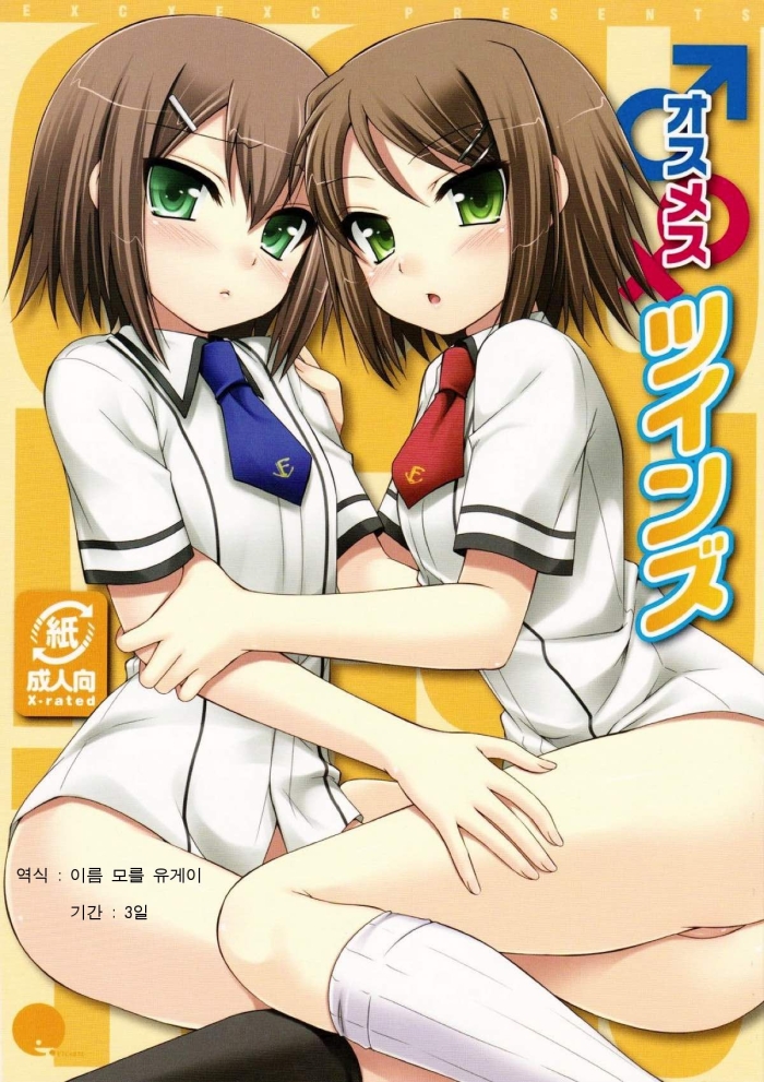 (SC46) [ETC X ETC (Hazuki)] Osumesu Twins (Baka To Test To Shoukanjuu) [Korean]