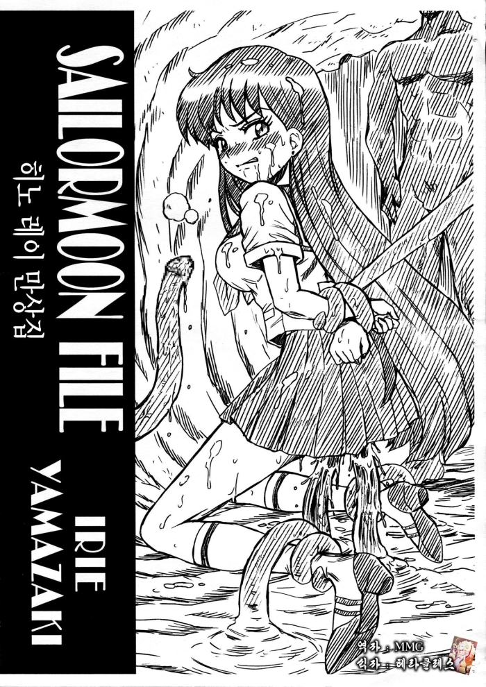 (C82) [Rat Tail (Irie Yamazaki)] SAILORMOON FILE Hino Rei Gazoushuu (Bishoujo Senshi Sailor Moon) [korean]