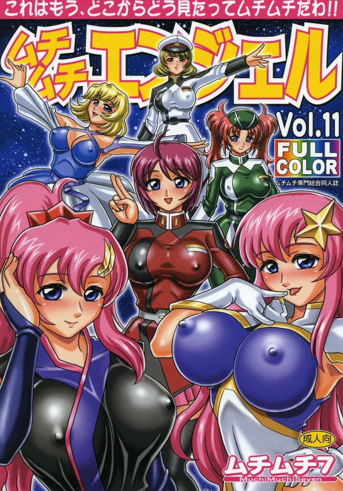 [Muchi Muchi 7 (Hikami Dan, Terada Zukeo)] Muchi Muchi Angel Vol. 11 (Gundam Seed Destiny)