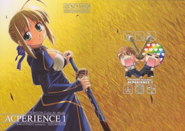 Hung ACPERIENCE 1 – Fate Stay Night Tsukihime