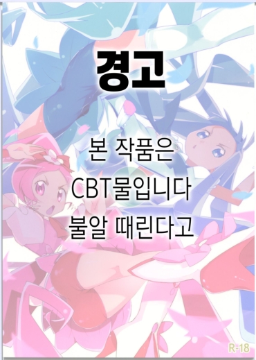 (C78) [eapo-zu (Mame)] Keritsubo (Heartcatch Precure!) [Korean]