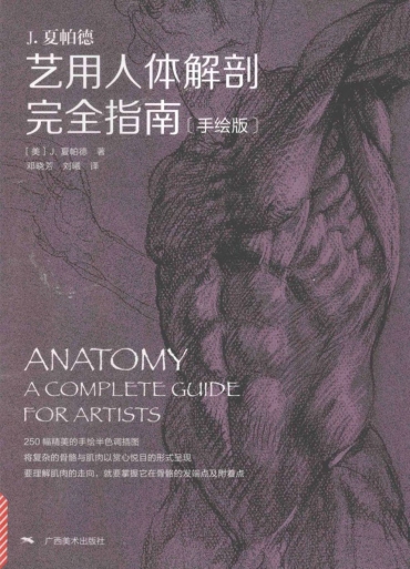 Heels Anatomy A Complete Guide For Artists   Joseph Sheppard