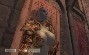 Tight Oblivion: Blue Eyed Darkelf Chronicles 4 – The Elder Scrolls Trimmed