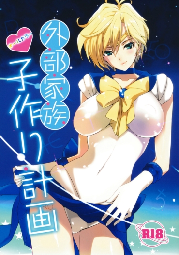 (C80) [ROUTE1 (Taira Tsukune)] Gaibu Kazoku Kozukuri Keikaku | External Family Baby-Making Plan (Bishoujo Senshi Sailor Moon) [English] {doujin-moe}