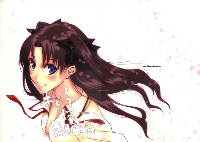 Tites Kyouha Nichiyoubi. - Fate Stay Night